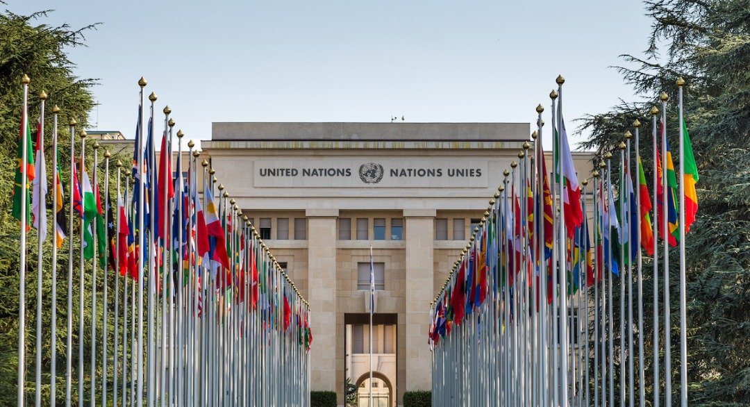 United Nations personnel